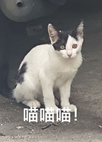 【史官团】S 2赛季—6区—雪原记录贴