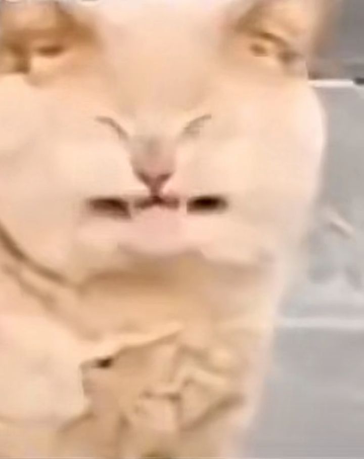 非洲酋长的吐槽截图