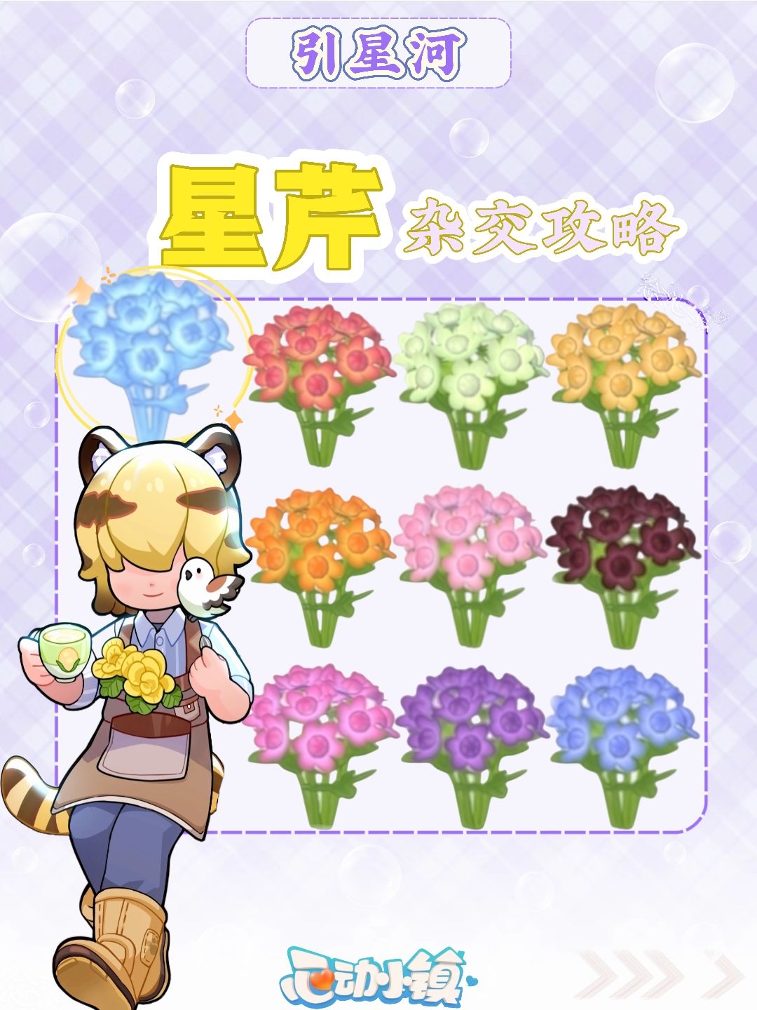庆典·引星河【星芹花杂交培育攻略】 1