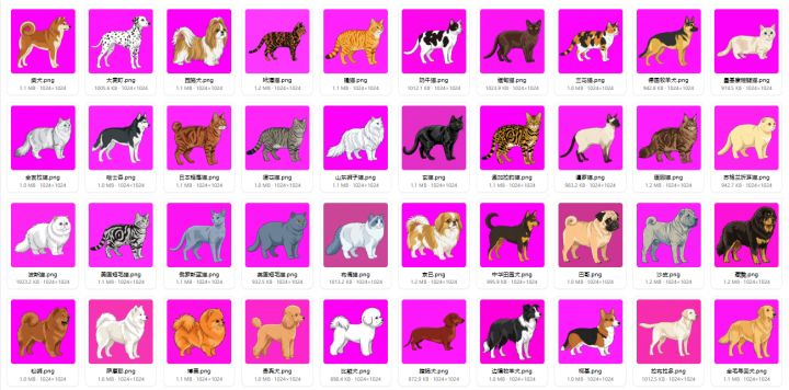 40只猫狗和4个小姐姐截图