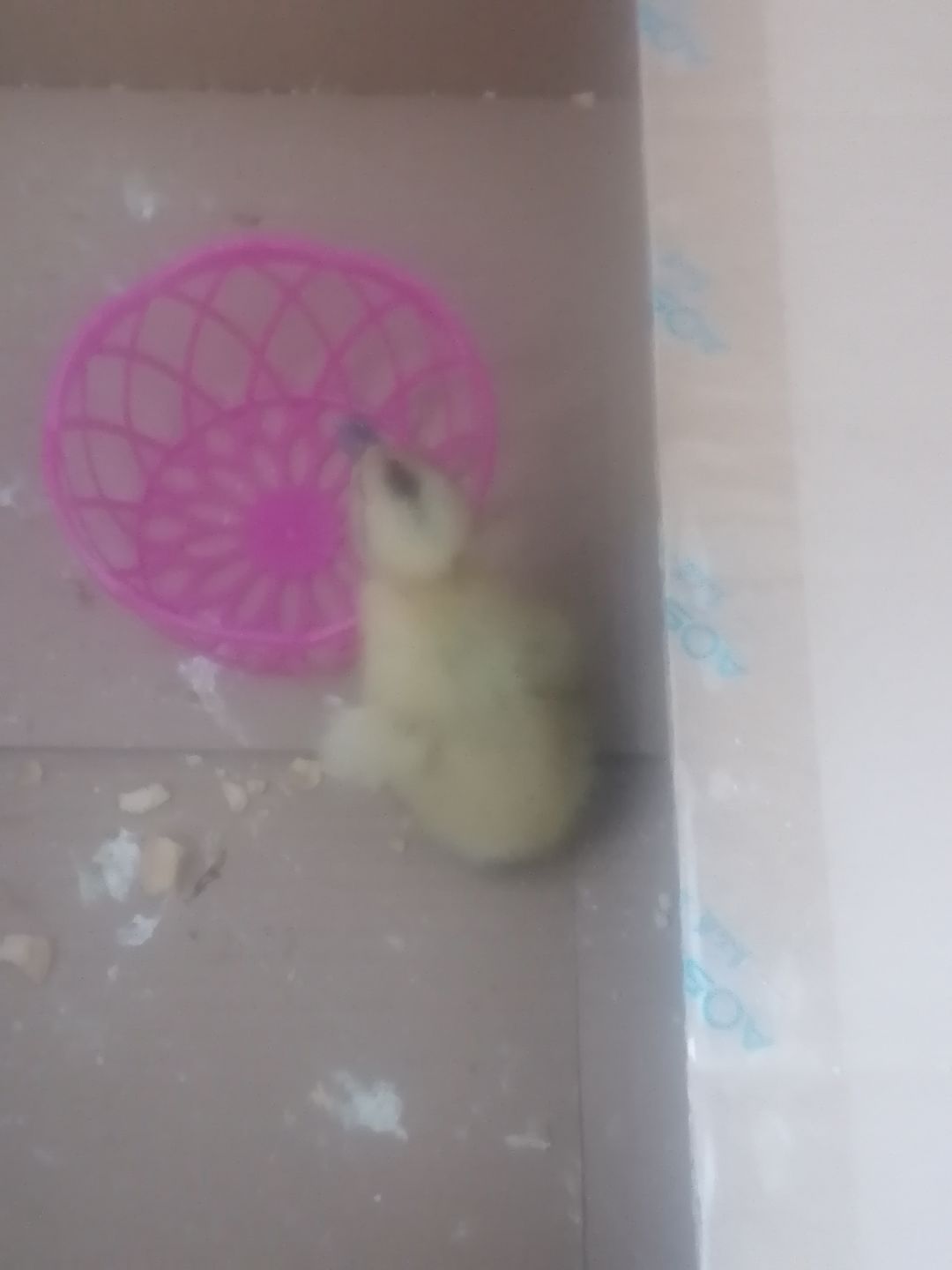 动态图片 1