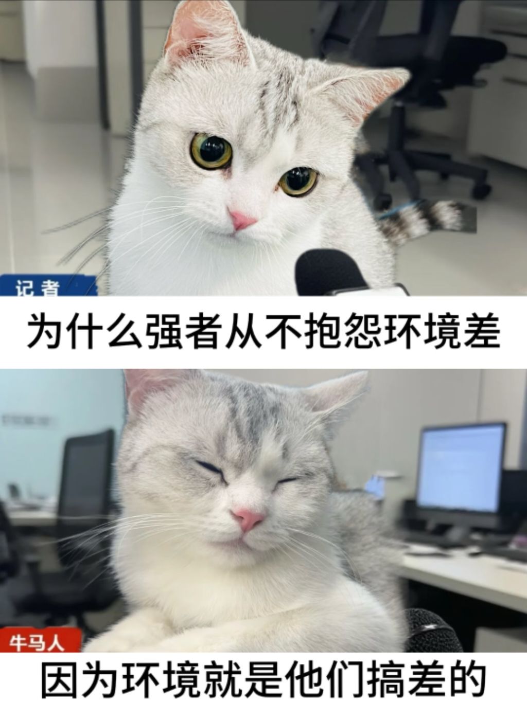 有幽灵和龙,想稳定吃🐔只能冲传功 2