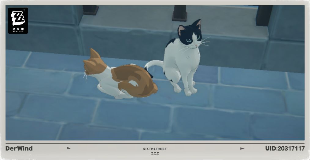 绝区零猫 6