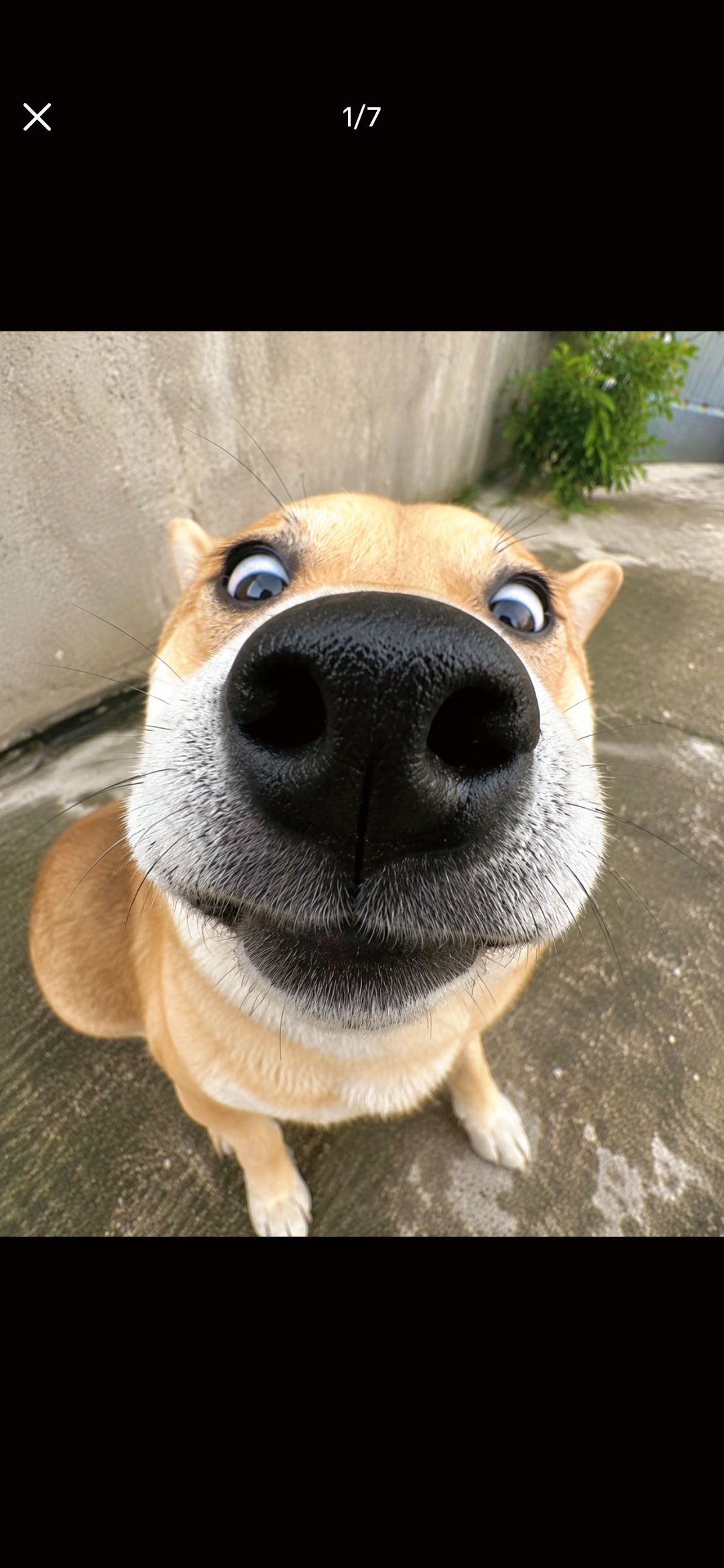 狂风刀法领悟怎么样? 1