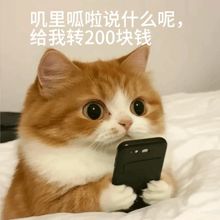 关于修炼帖子的补充截图