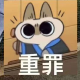 开服玩家-日更发展家等级进度截图
