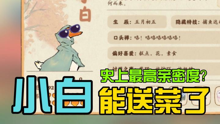 小白送菜!最高亲密度?截图