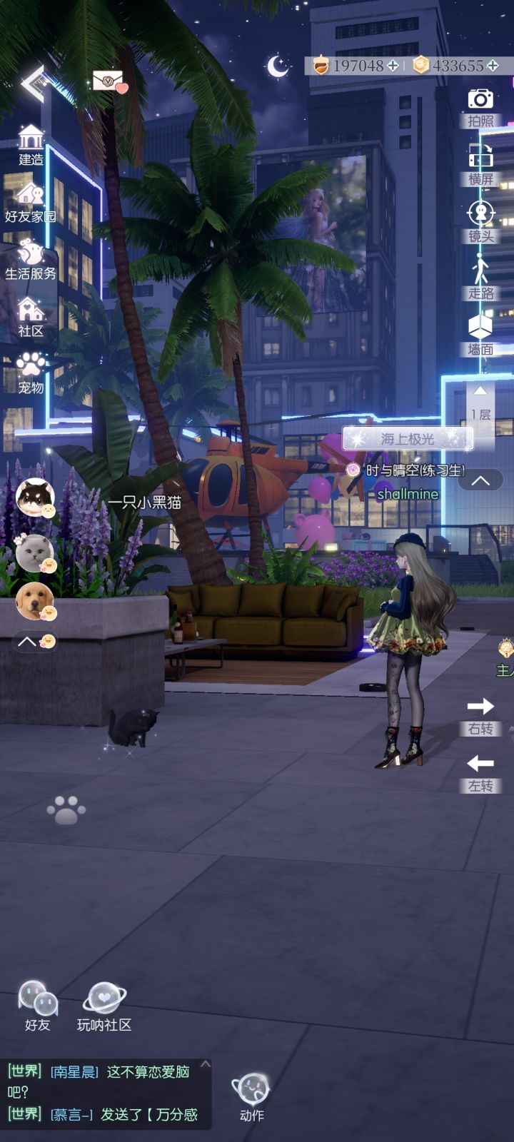 英短黑猫截图