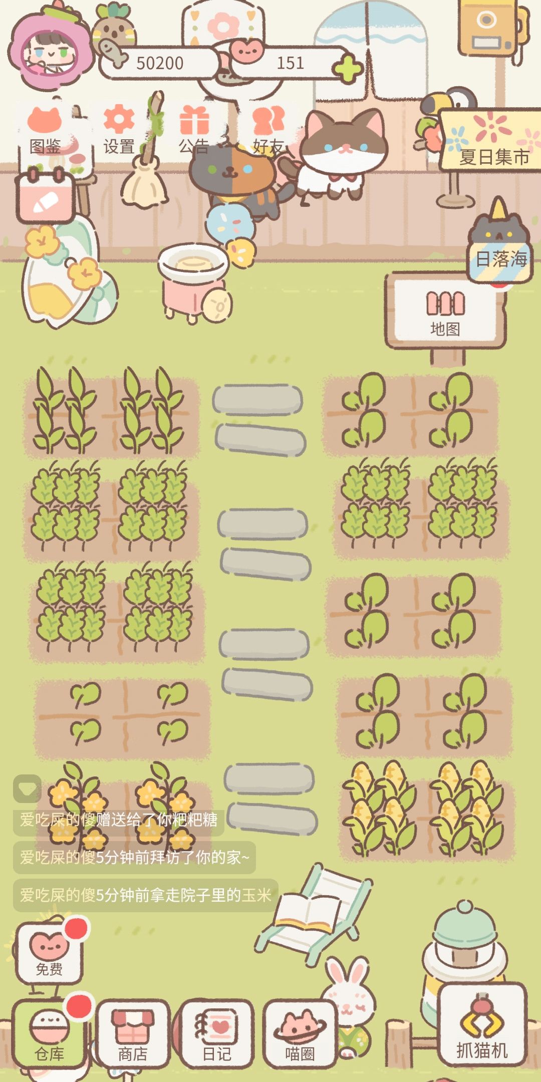 动态图片 3