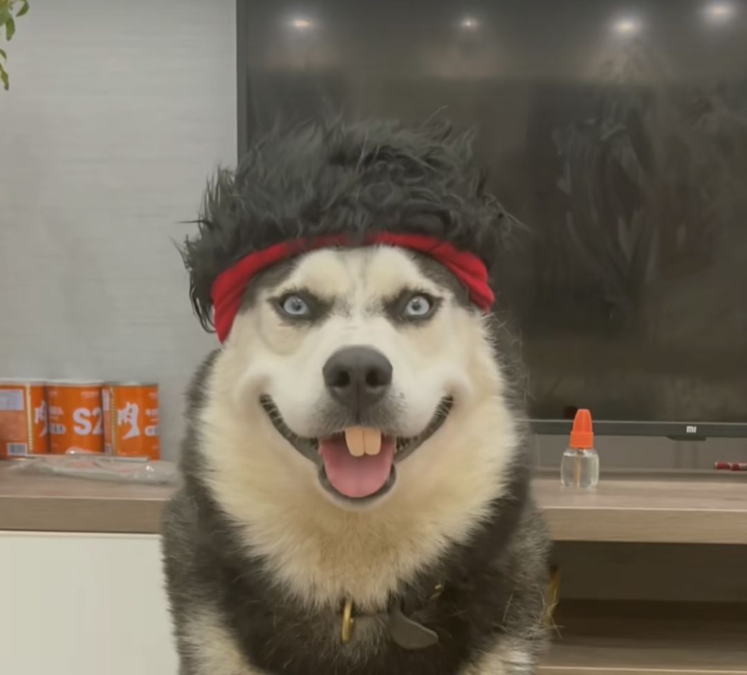 碰碰运气? 1