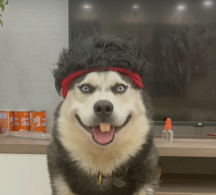 碰碰运气？截图
