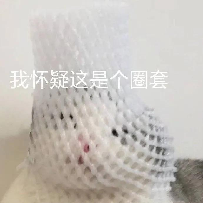 全都是广告,不看广告很难玩 1