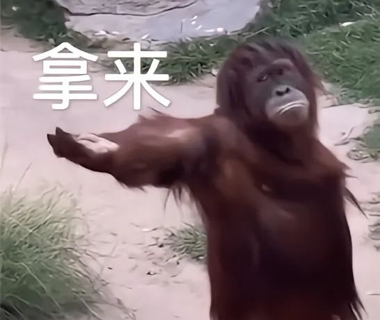 宝藏游戏又又又送皮肤啦截图