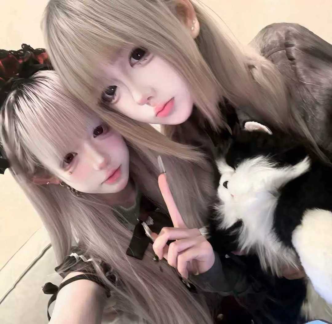动态图片 4