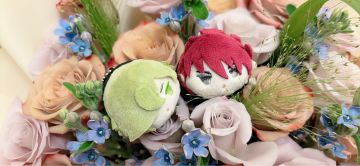 怎么有人年底了才想到开一个活动掉落记录贴