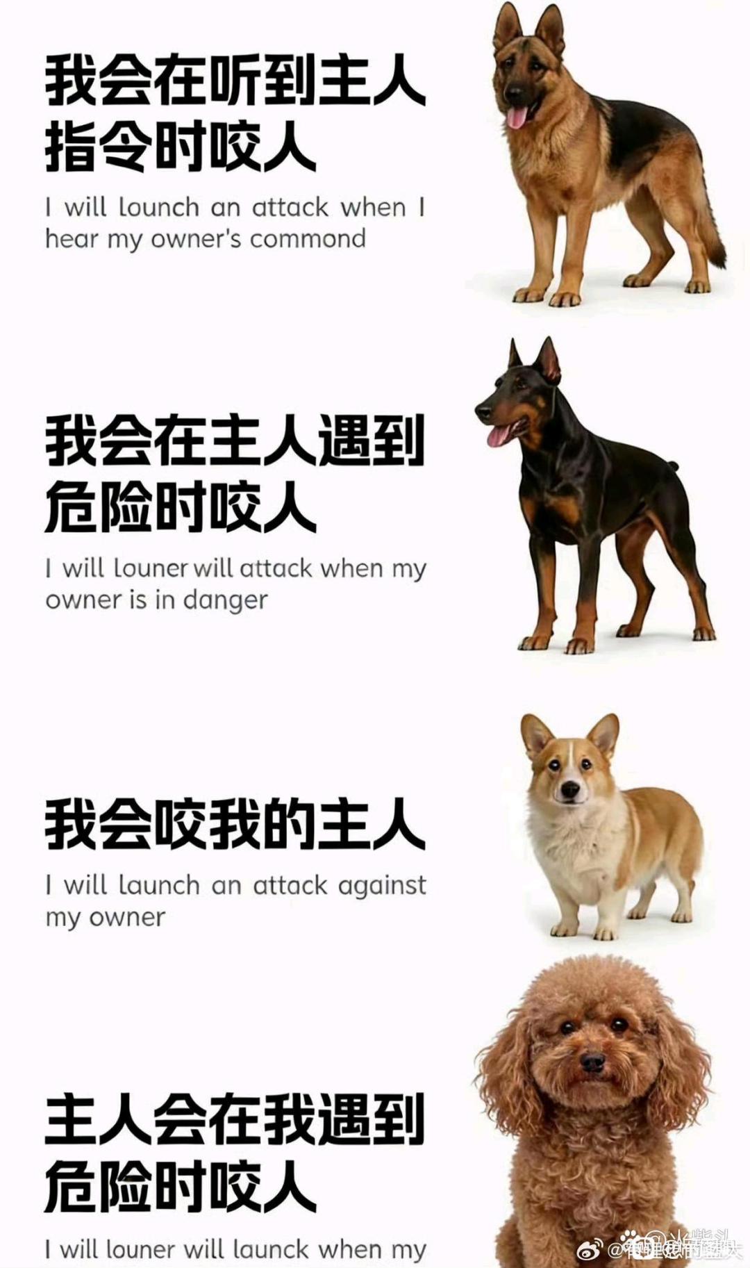 大家都忽视了校长的重要功能 1