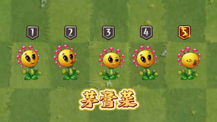 植物大战僵尸2:新植物茅膏菜截图