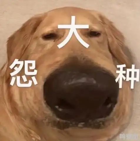 有一说一 心动运营思路很合理截图