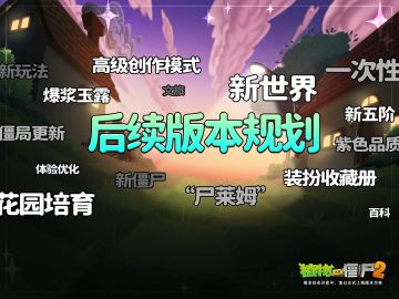 后续版本规划分享