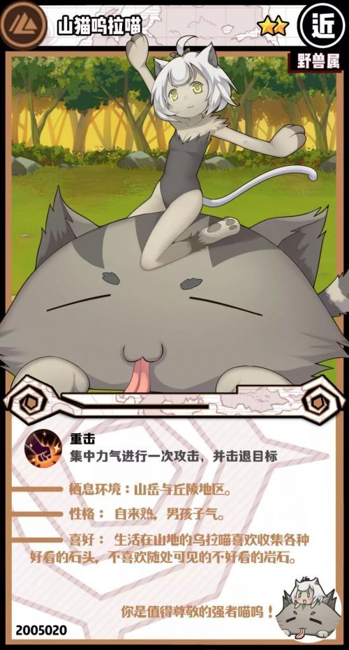 谁是好耄咪? 14