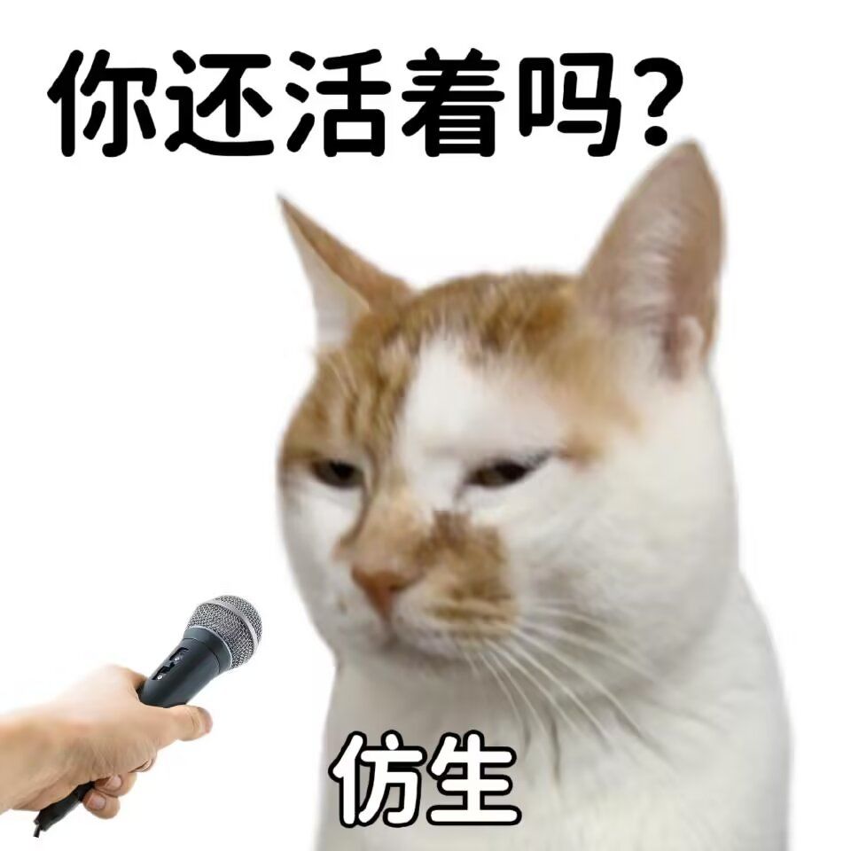 云玩延迟太严重了 1