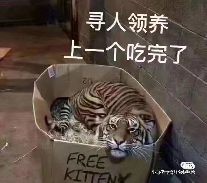 一周年适合回坑吗?截图