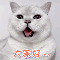 游戏太上头了 1