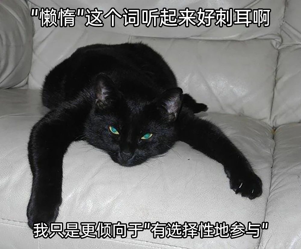 很好奇想问一下 1