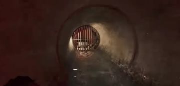 鲨鱼变猛 + 社交新玩法！《三角洲行动》S8体验服三大改动曝光