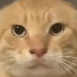 该让双持武器拥有独特机制而不是单纯的外观