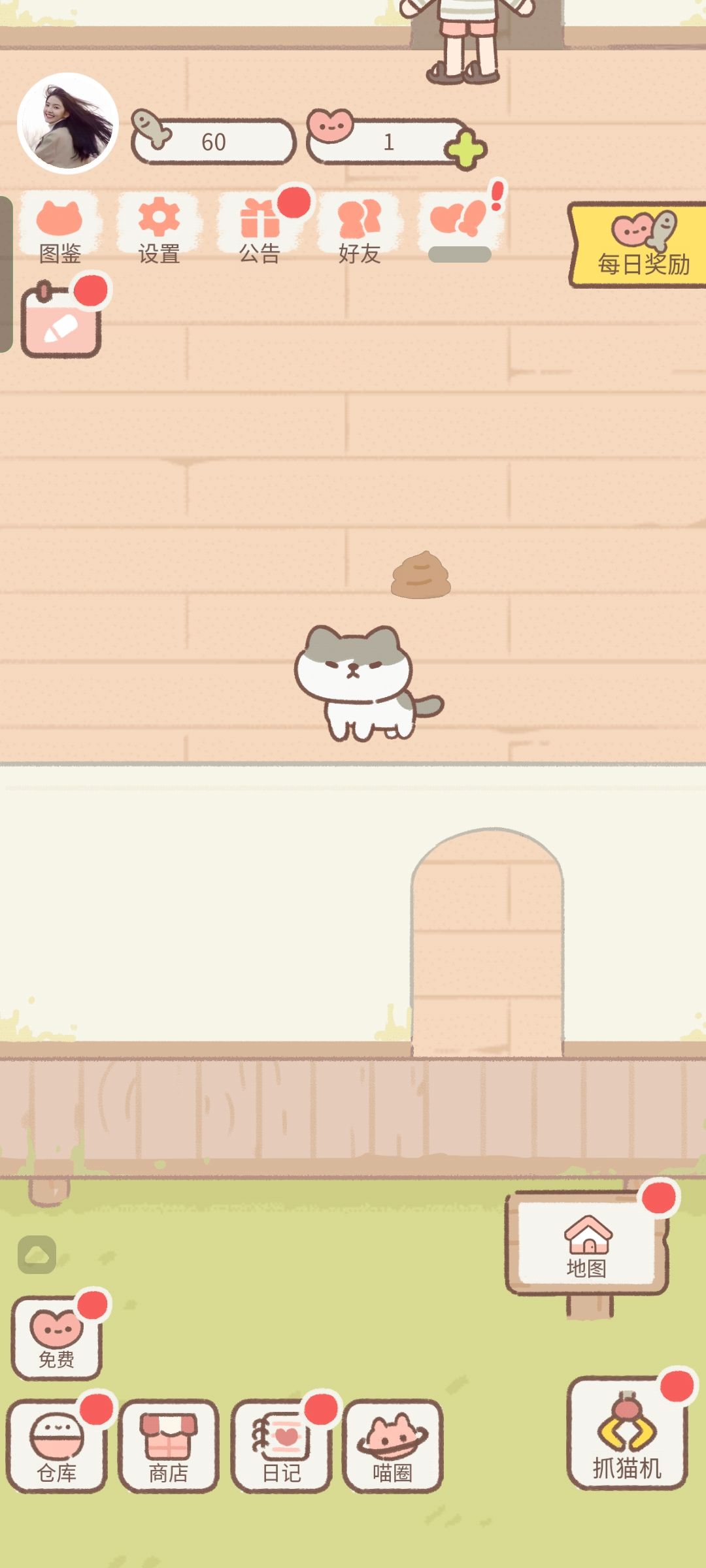 可爱的猫咪 1