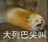 明天的白小纯和瑶姬哪个强?截图