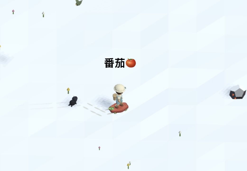 记录/去你的岛/目前拥有的滑板外观 5