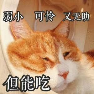 一个悲伤的故事~ 2