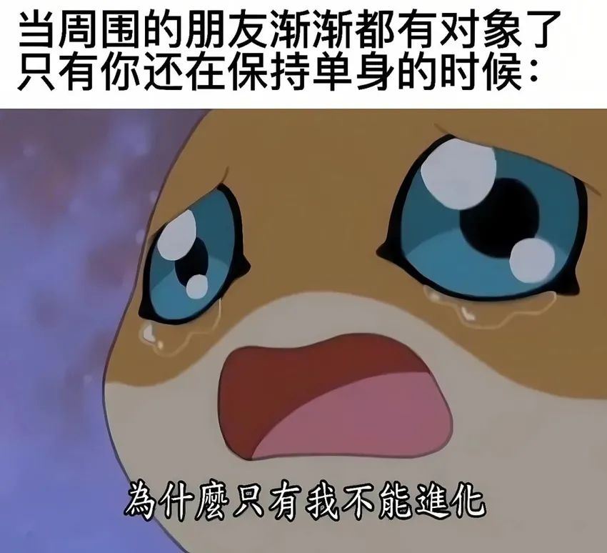 ✨今日份梗图分享第九十期✨ 1