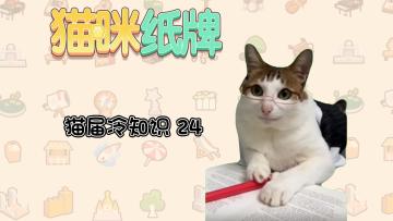 《猫咪纸牌》猫界冷知识 24-- 厕所守护仪式