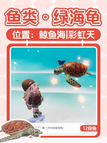 心动小镇鱼类｜绿海龟