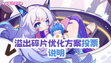 关于溢出碎片优化方案投票的说明