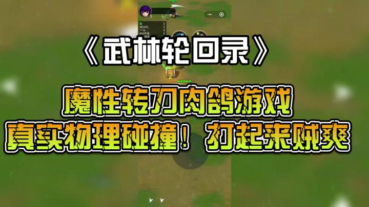 武林轮回录:魔性转刀肉鸽游戏,真实物理碰撞!打起来贼爽截图