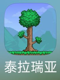 泰拉瑞亚联机群截图