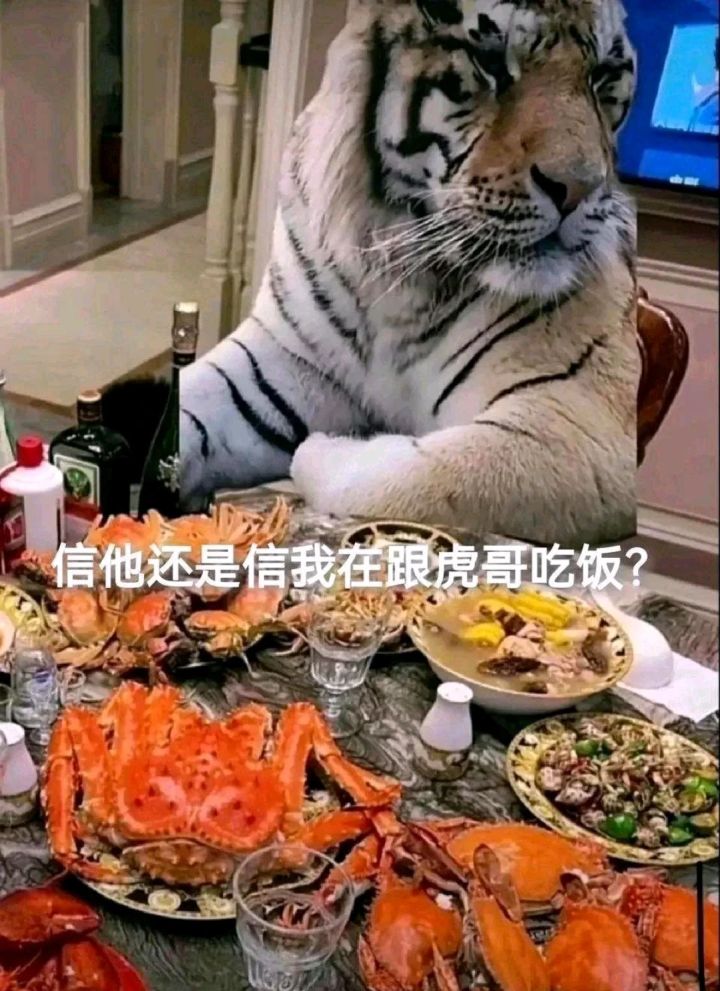 主线什么时候更新!截图