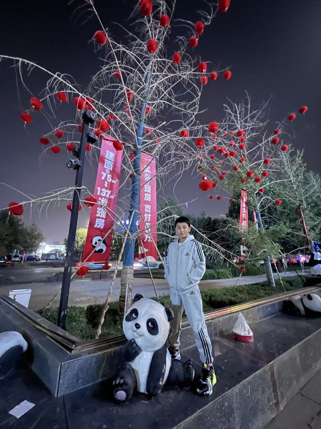 动态图片 1