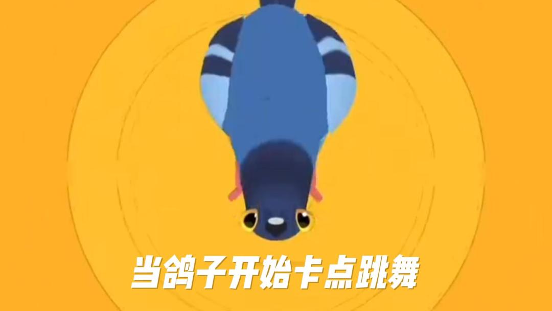 video-5481335