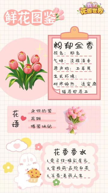 【鲜花图鉴】花园世界-粉郁金香