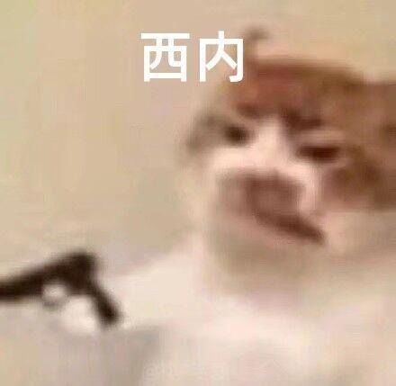 兑换码来了来了,新鲜出炉 2