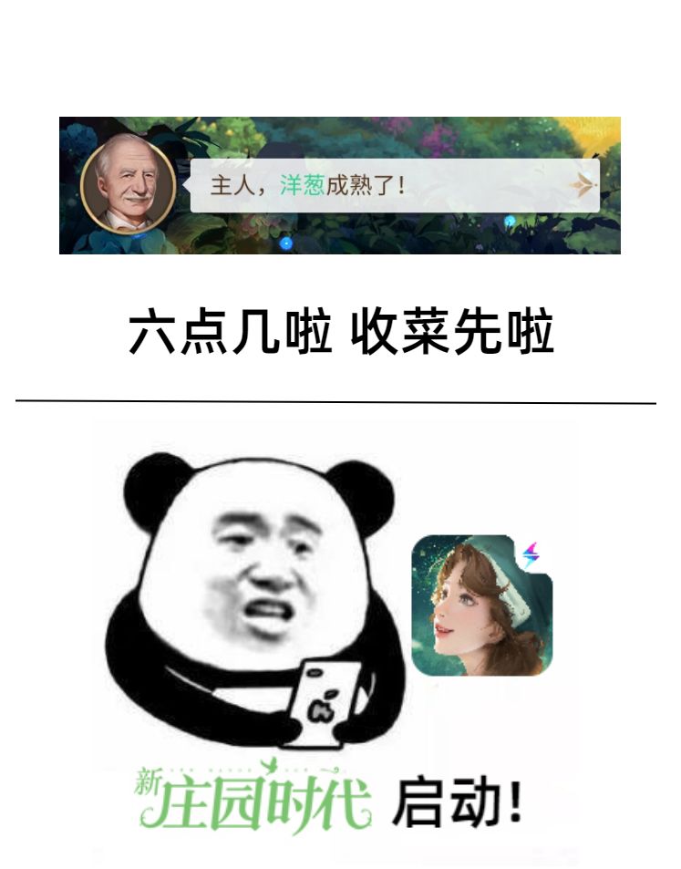 今日收获 3