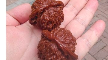 满满的情怀，忘不了的千年