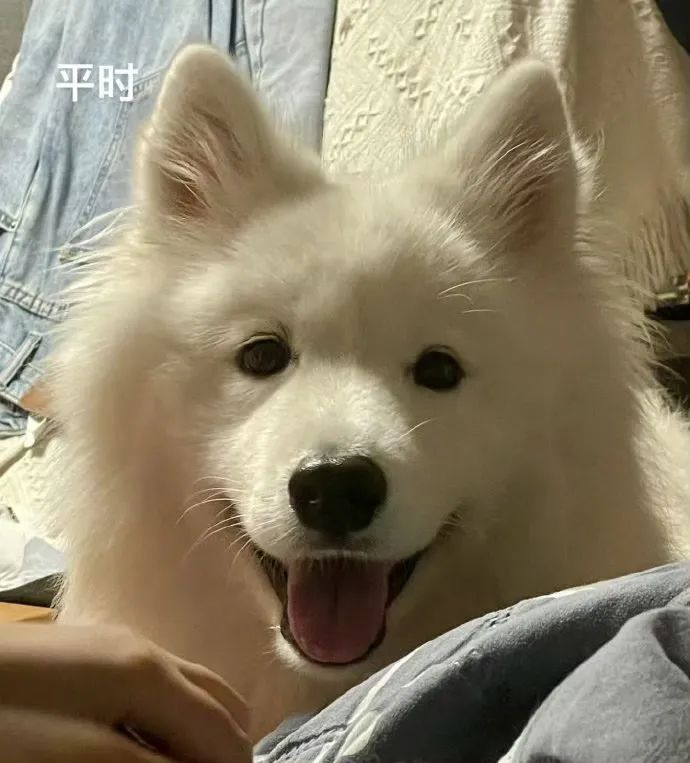 中秋国庆活动，有人有消息吗？截图