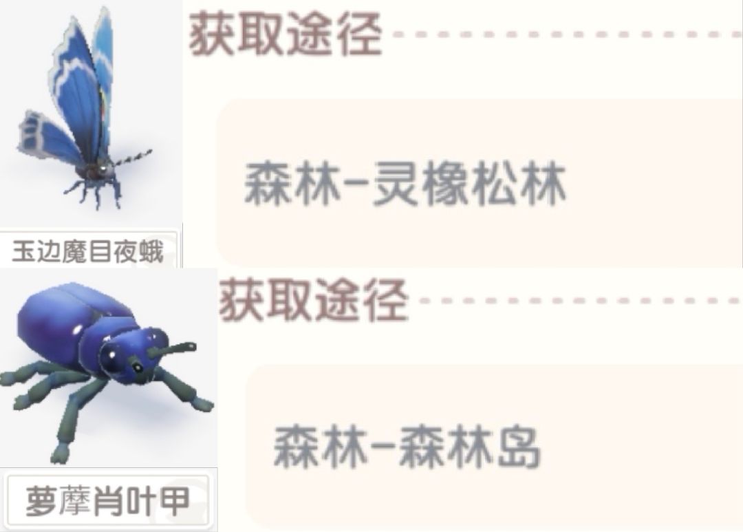 【心动小镇寻鲸季限定虫类图鉴】 2
