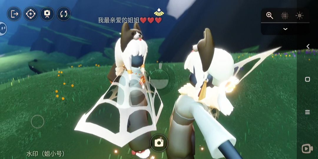 啊啊啊，难拍死了 2